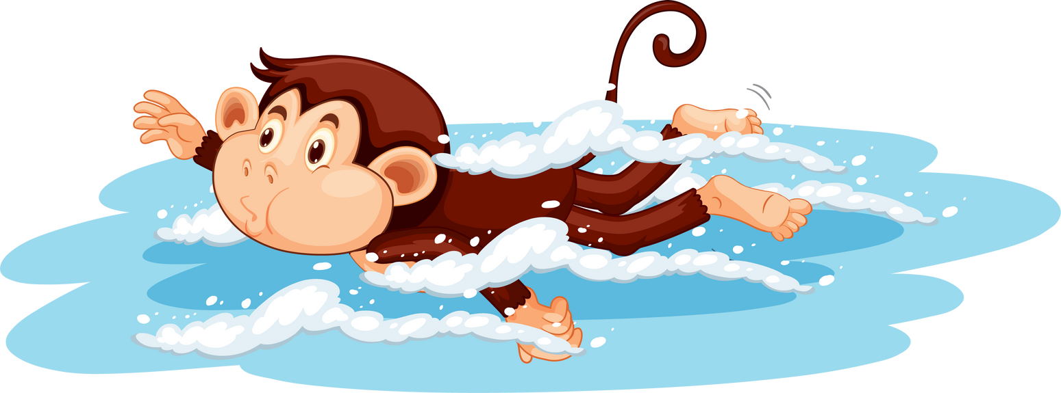 Monkey swimming cartoon character