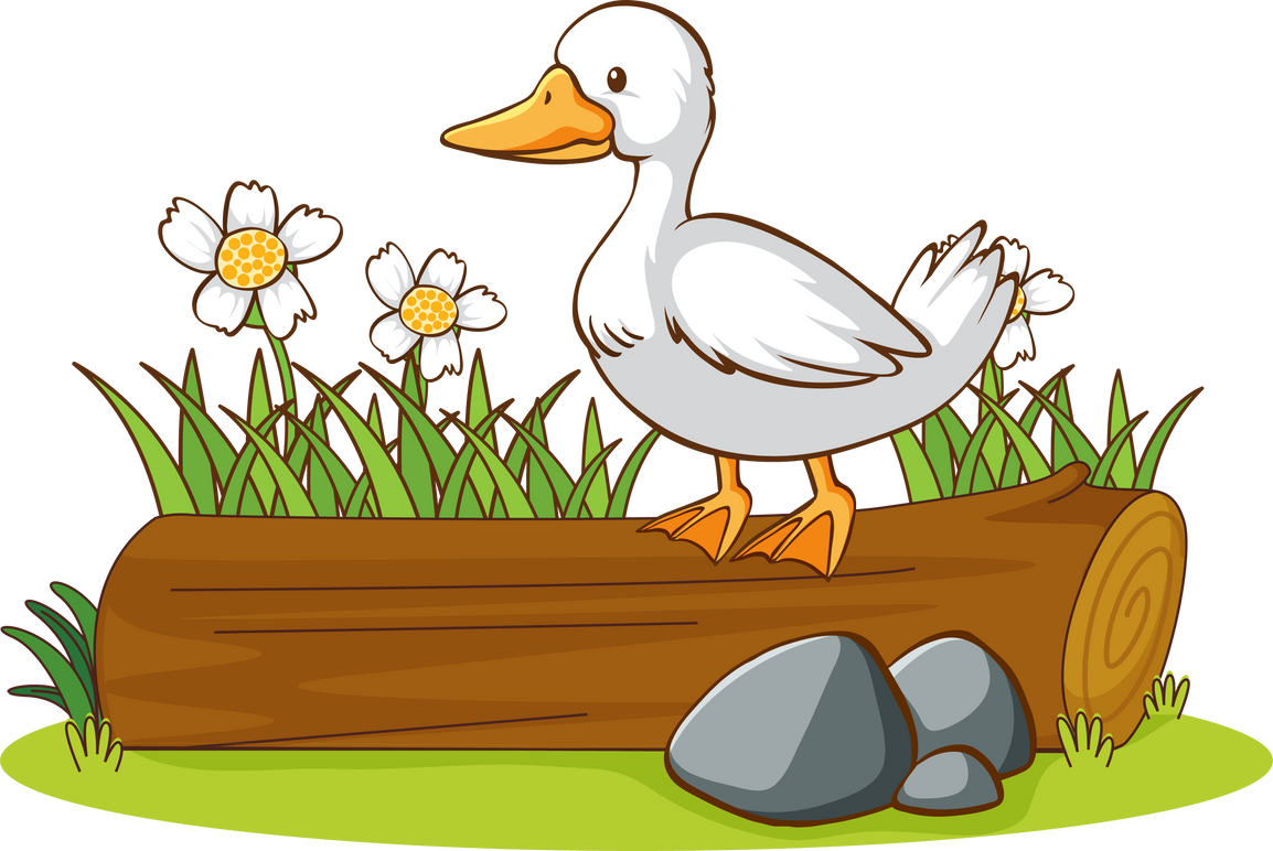 Isolated picture of duck on the log