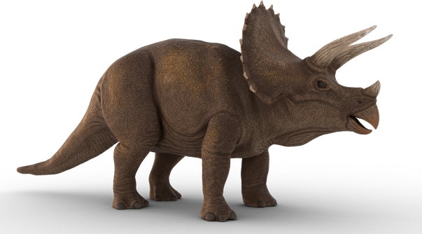 Realistic Triceratops Illustration