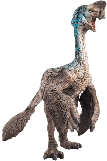 Oviraptor   , dinosaur on isolated background .