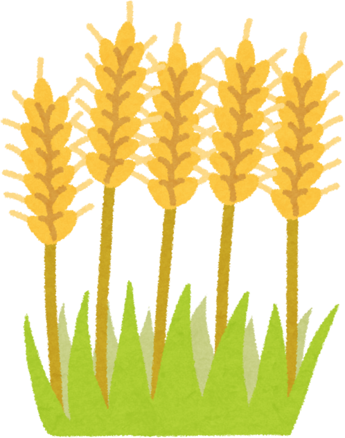 Illustration of Golden Wheat Stalks