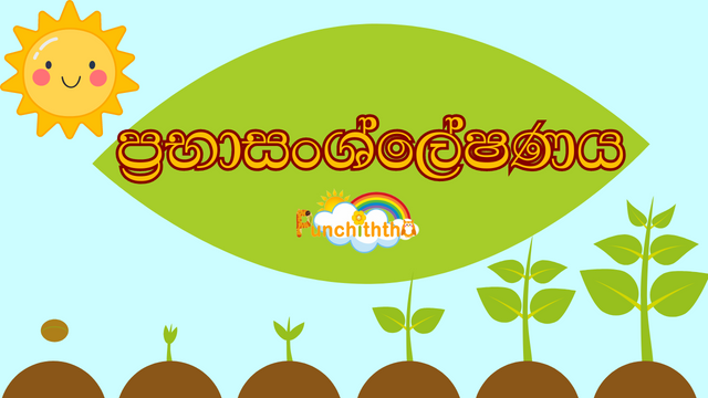 vidyawa, lama wadasatahan, kids websites, prabhasansleshanaya, photosynthesis in sinhala, shishyathwaya, prathamika